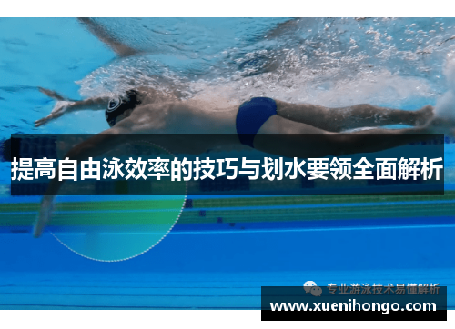 提高自由泳效率的技巧与划水要领全面解析