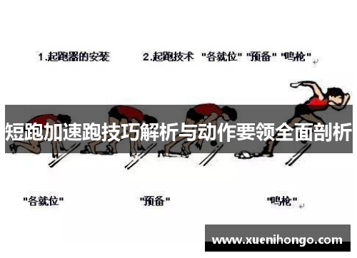 短跑加速跑技巧解析与动作要领全面剖析