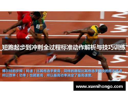 短跑起步到冲刺全过程标准动作解析与技巧训练