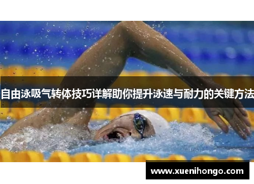 自由泳吸气转体技巧详解助你提升泳速与耐力的关键方法
