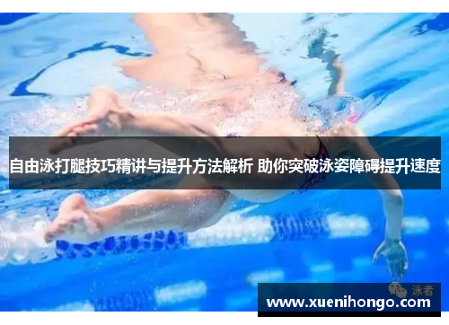 自由泳打腿技巧精讲与提升方法解析 助你突破泳姿障碍提升速度
