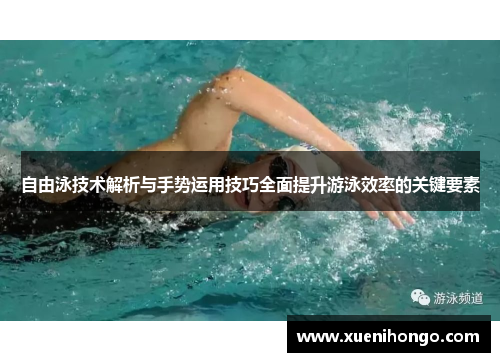 自由泳技术解析与手势运用技巧全面提升游泳效率的关键要素