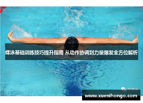 蝶泳基础训练技巧提升指南 从动作协调到力量爆发全方位解析